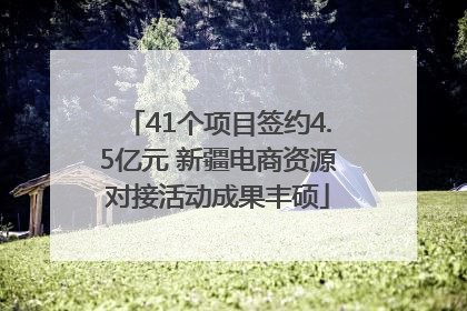41个项目签约4.5亿元 新疆电商资源对接活动成果丰硕